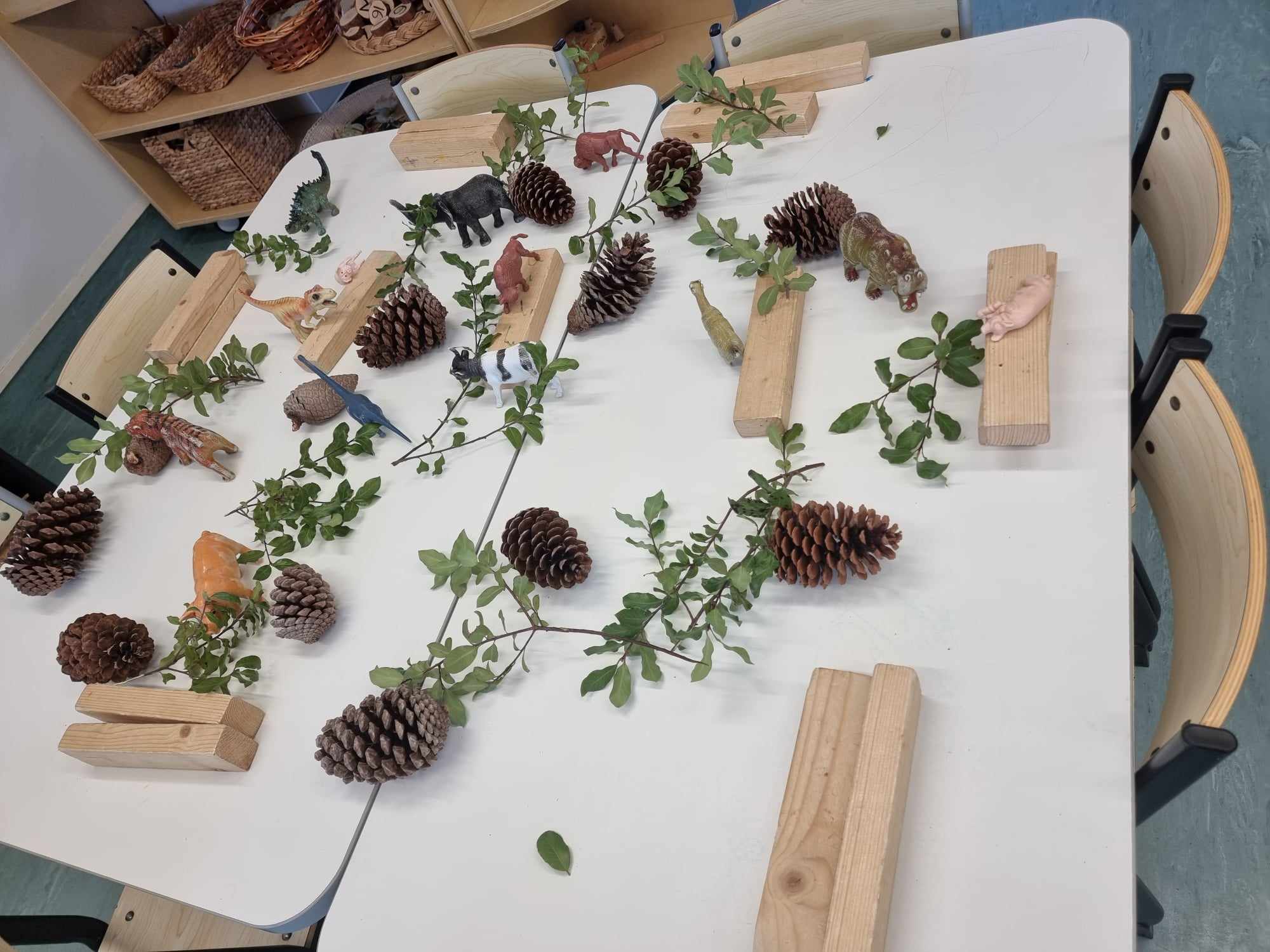 Natural materials arranged for a Riverhills learning experience